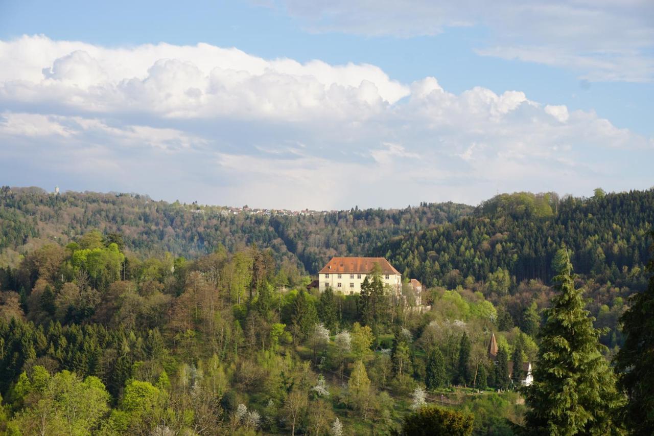Ferienwohnung Schauinsland 노이엔뷔르크 외부 사진