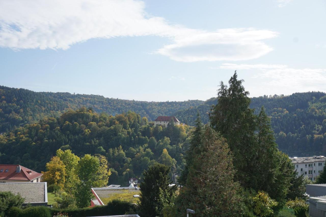 Ferienwohnung Schauinsland 노이엔뷔르크 외부 사진